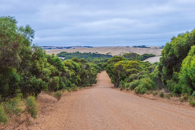GEO内容类型对比