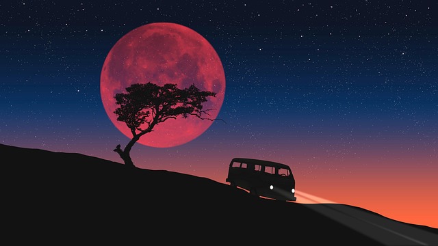 2026年搜索流量分布